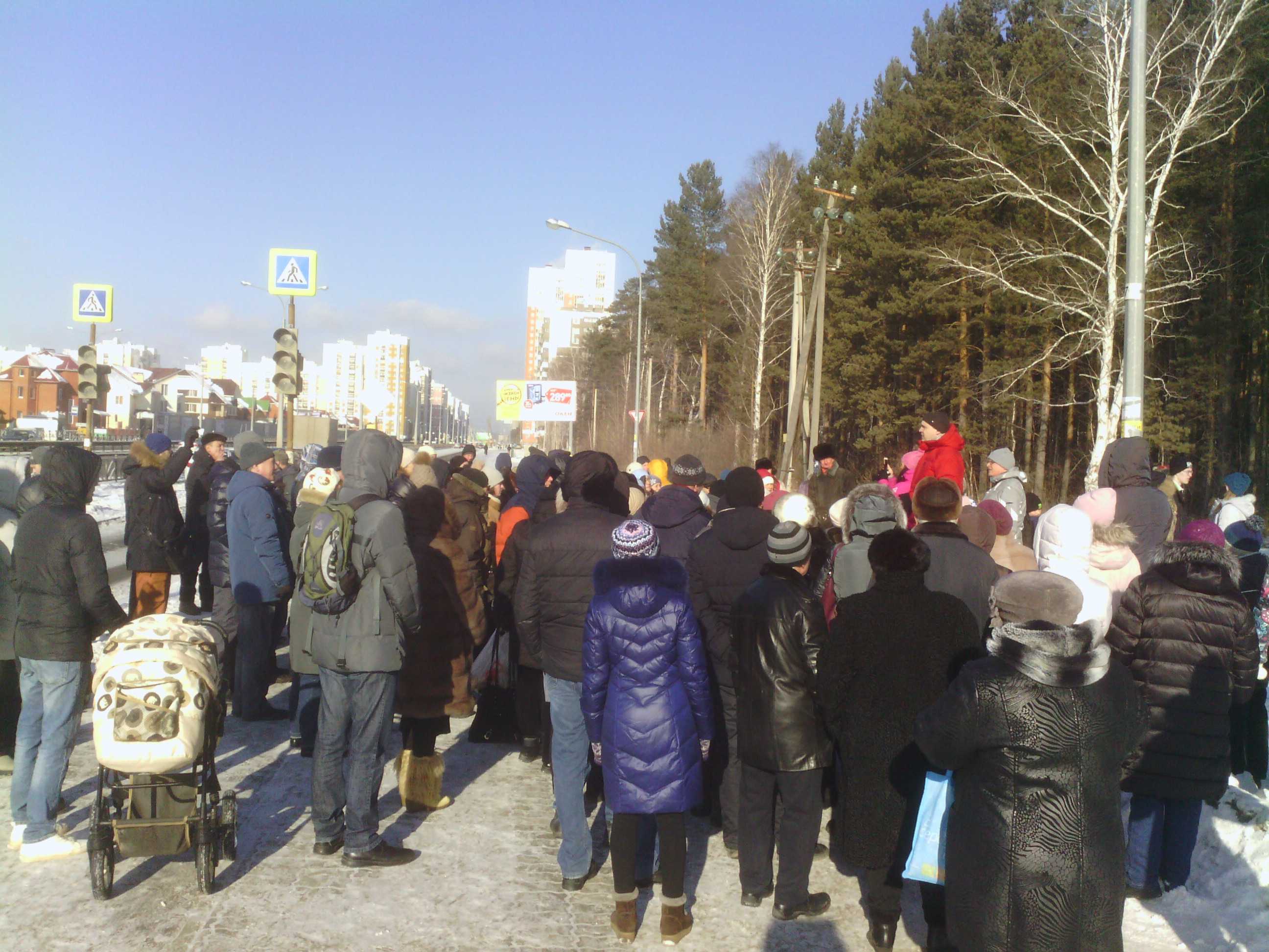 Жители Краснолесья провели флешмоб в защиту березовой рощи (ФОТО)