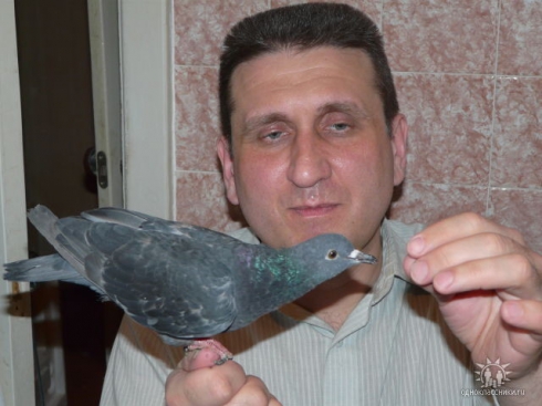 Житель Эльмаша устроил в квартире голубятню. Соседи пишут жалобы в полицию