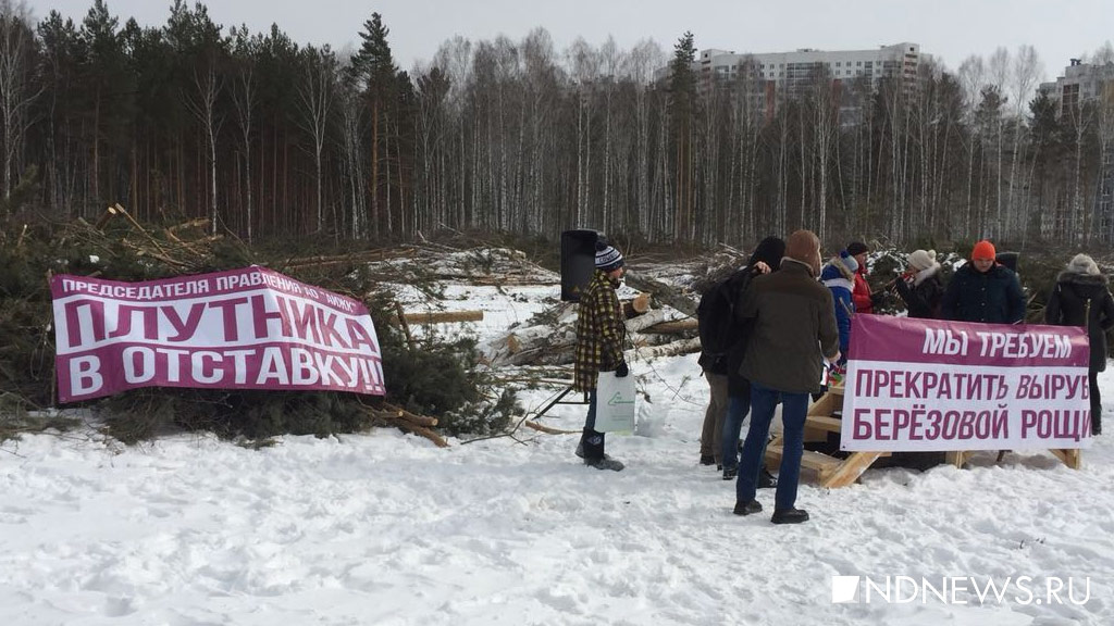 Митингующие в Академическом требуют остановить вырубку леса и отправить в отставку директора АИЖК