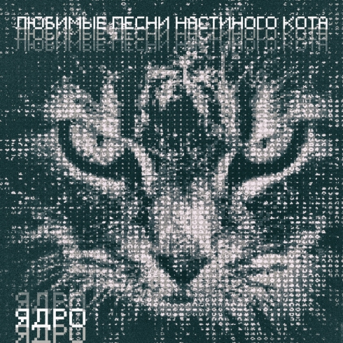 Уральская нойз-роковая группа «Любимые песни Настиного кота», солиста которой отказались поместить в психбольницу, выпустила новый альбом