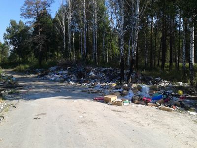 Прокуратура требует ликвидировать свалку под Тавдой Прокуратура требует ликвидировать свалку под Тавдой
