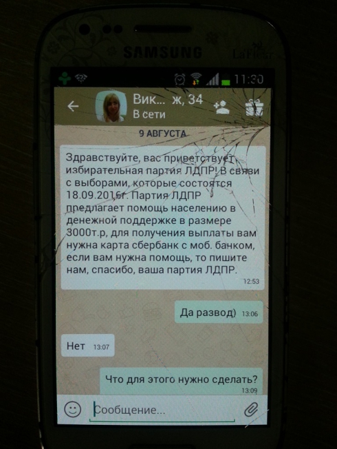 Свердловчанам предлагают проголосовать за партию за 3 тысячи рублей