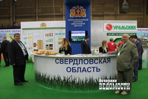 Лимонад из шишек