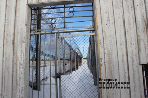 Уралец получил одиннадцать лет за убийство соседа, попросившего тишины