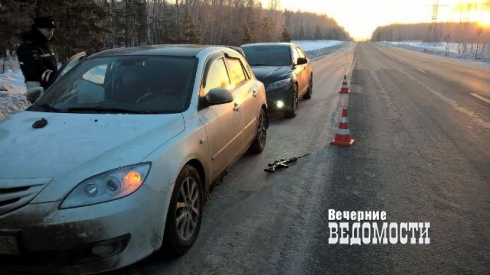 Менеджера уральской управляющей компании обезоружили и доставили в полицию