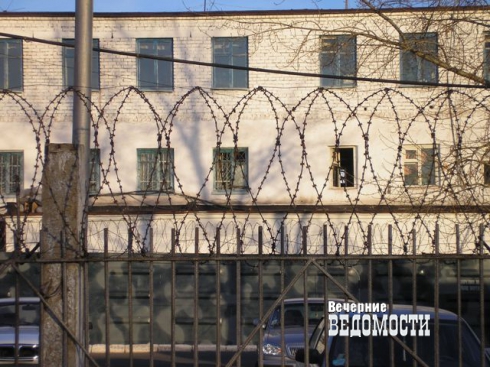 Полсотни ножевых ран нанесли на Урале женщине ограбившие ее родственники