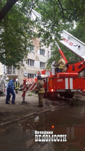 В центре Екатеринбурга полыхает жилой дом. Жители спасают себя и домашних животных (ФОТО)