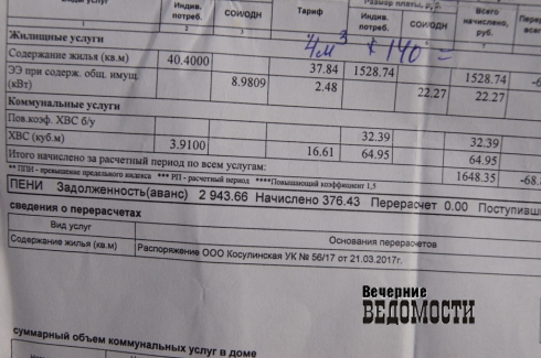 «Вонь невозможная стоит». Жители уральского села жалуются на разливающиеся фекалии во дворах