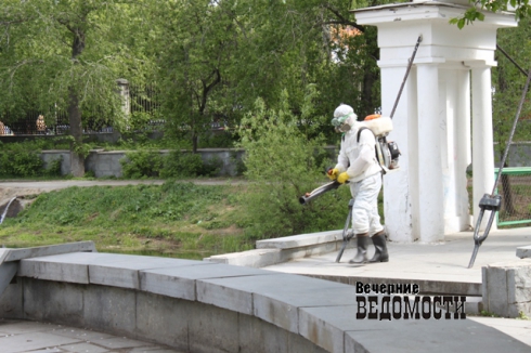 В Свердловской области клещи перекусали десятки тысяч человек, двое умерли