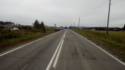 В Свердловской области УАЗ сбил корову и перевернулся. Водитель погиб