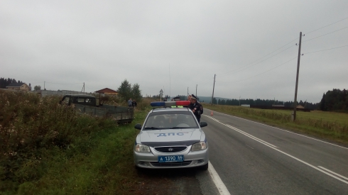 В Свердловской области УАЗ сбил корову и перевернулся. Водитель погиб