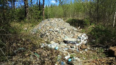 Прокуратура заставила ликвидировать свалки бытовых отходов в Ревде Прокуратура заставила ликвидировать свалки бытовых отходов в Ревде