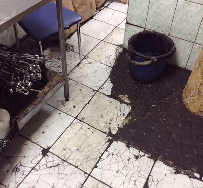 В Екатеринбурге на три месяца закрыли кафе из-за жуткой антисанитарии В Екатеринбурге на три месяца закрыли кафе из-за жуткой антисанитарии