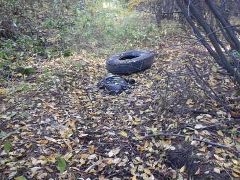 В Екатеринбурге вынесли приговор уроженцу среднеазиатской республики, убившему женщину