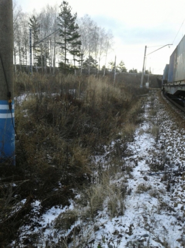 Двое екатеринбуржцев украли 17 коробок зубной пасты и 35 шин из грузового поезда