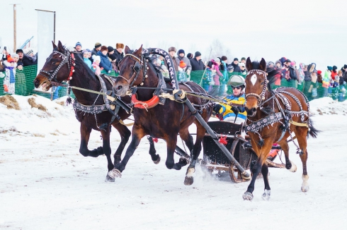 Кушва стала местом проведения ежегодных конно-спортивных соревнований