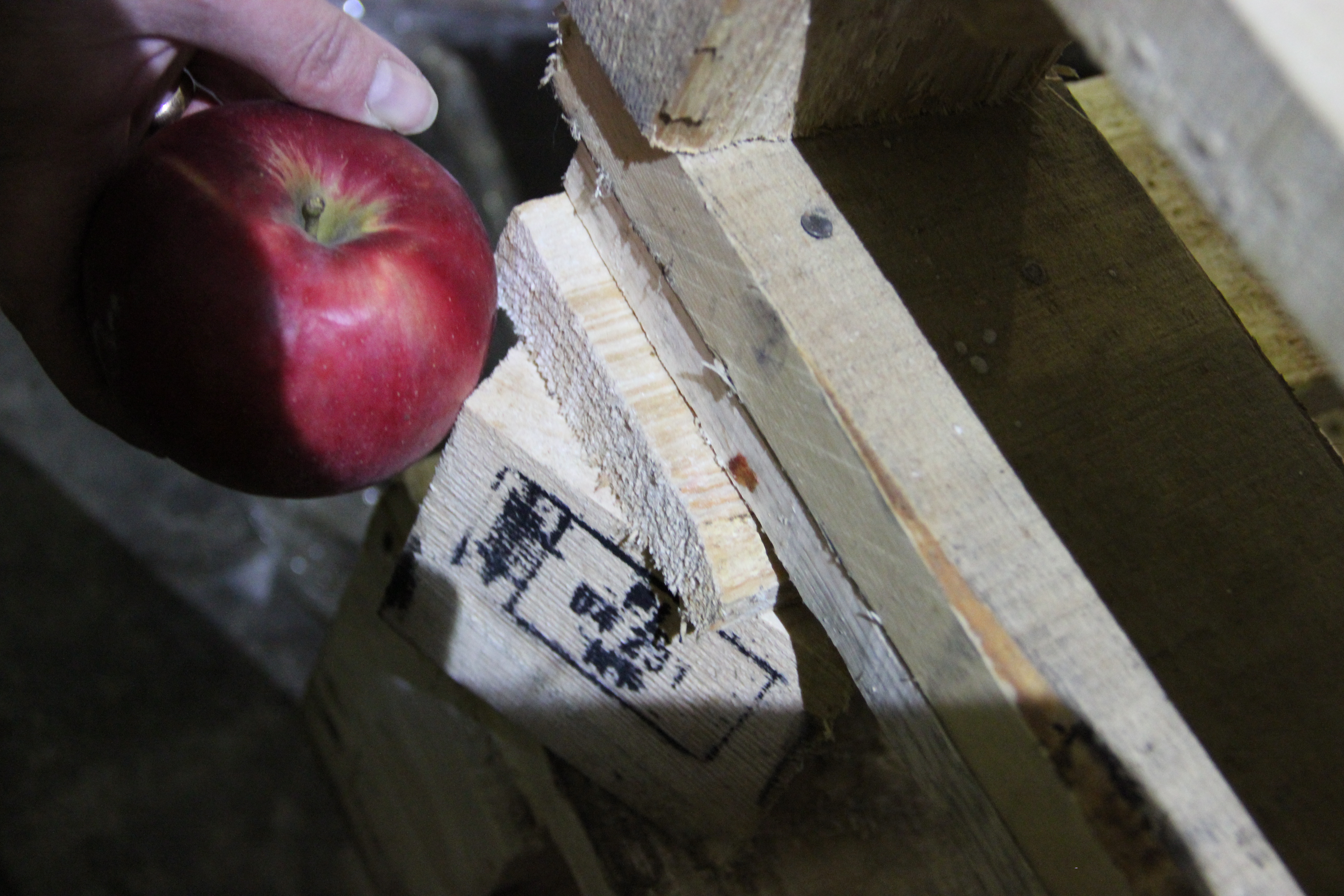 В Екатеринбурге уничтожили почти четыре тонны санкционных яблок