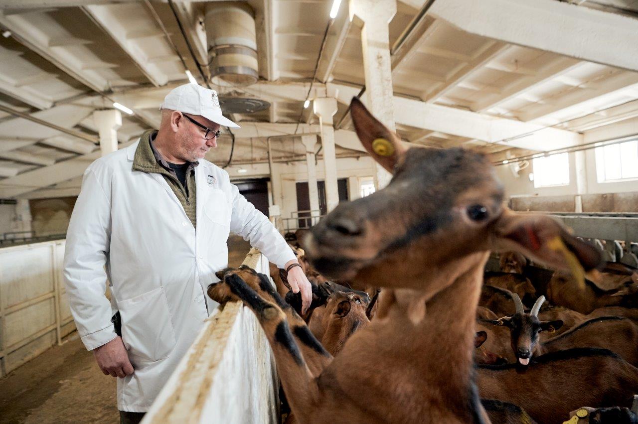«Здесь все организовано так, как если бы я делал это сам»: международный эксперт в области животноводства посетил козью ферму «УГМК-Агро»