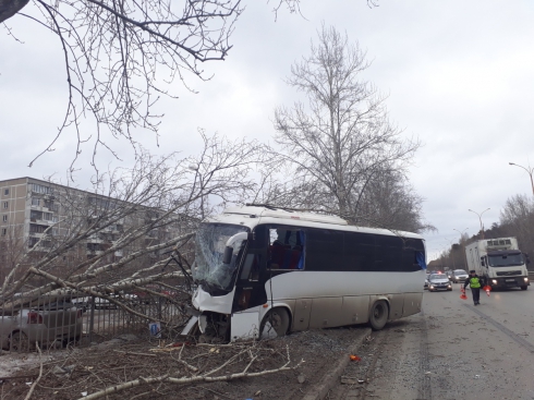 Снес дерево и погиб на месте: в Екатеринбурге на Объездной дороги сегодня произошло ДТП