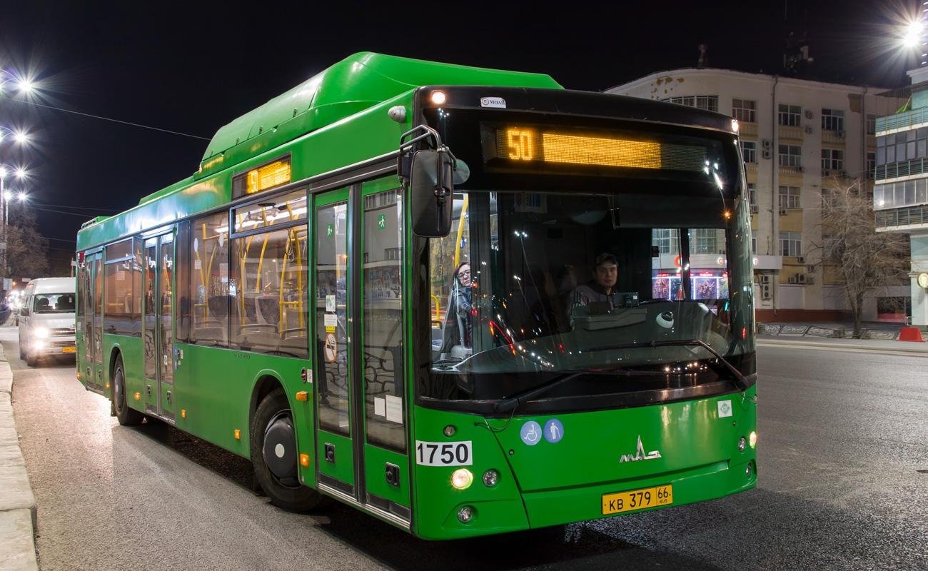 Автобус 50 б. МАЗ 203. Екатеринбург автобус.МАЗ 203l65. Автобус maz 203 l65. Зеленый автобус.