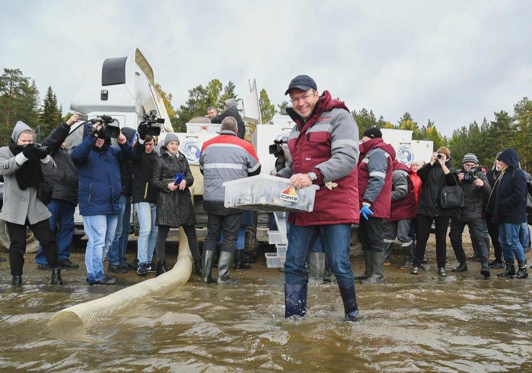 На десять тысяч толстолобиков пополнилось Новомариинское водохранилище в Ревде На десять тысяч толстолобиков пополнилось Новомариинское водохранилище в Ревде