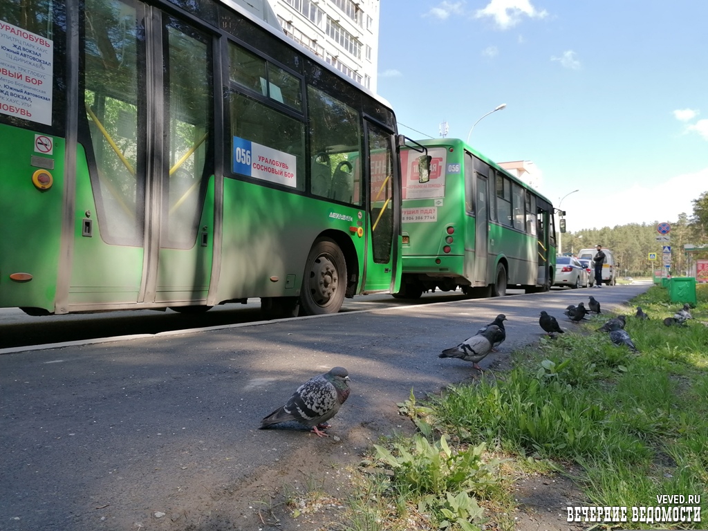 Инспекторы ГИБДД под видом пассажиров проверили маршрутки в Екатеринбурге (ФОТО) Инспекторы ГИБДД под видом пассажиров проверили маршрутки в Екатеринбурге (ФОТО)