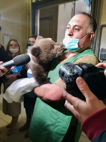 В Хабаровск из столицы Урала доставили медвежат