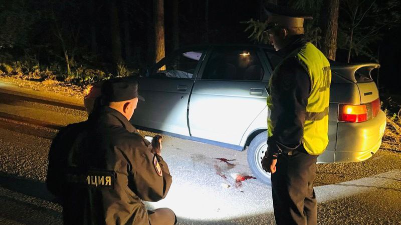 В Нижнем Тагиле нетрезвая водительница с дочерьми в машине насмерть сбила пешехода