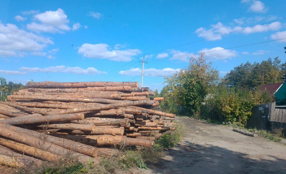 Екатеринбургские чиновники не могут определиться давали ли они разрешение на вырубку